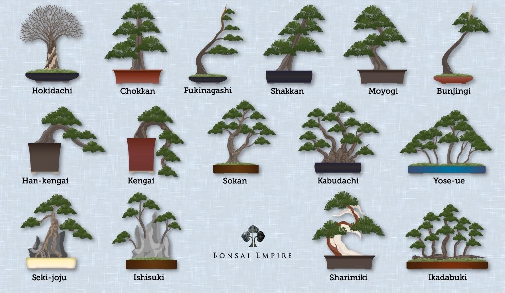 bonsai styles Predazzo, Congresso Nazionale Summer Bonsai Festival 