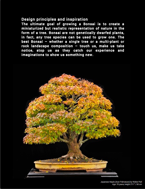 Bonsai, Una guida per principianti (eBook) Bonsai Empire