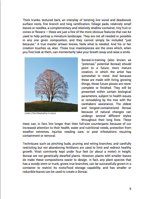 Bonsai, Una guida per principianti (eBook) Bonsai Empire