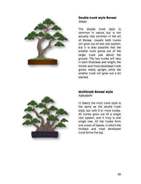 Bonsai, Una guida per principianti (eBook) - Bonsai Empire