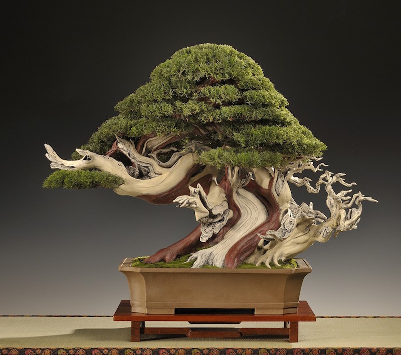 Bonsai Artificiale - Bonsai Empire