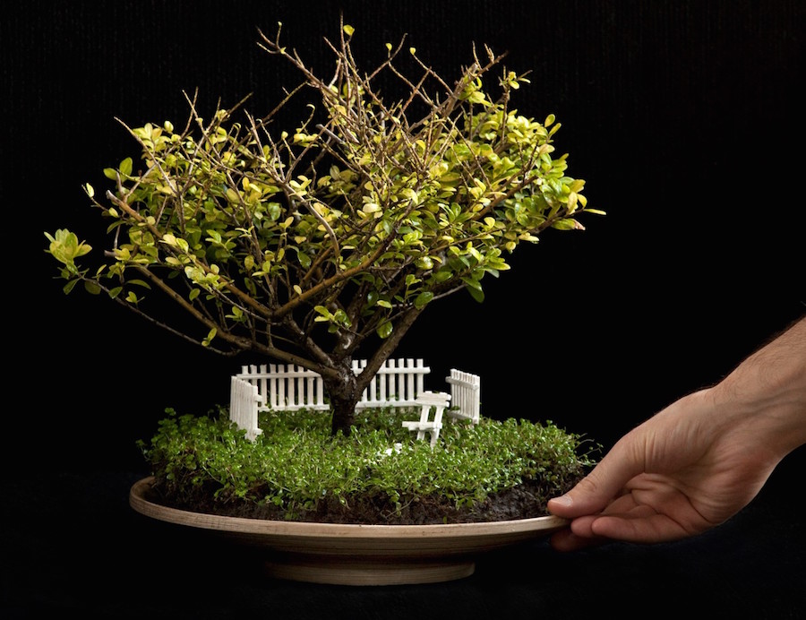 Snner Steccato In Miniatura Per Fairy Garden - Recinto In Legno Colorato Da 100cm, Per Bonsai, Piante Grasse E Case Delle Bambole (Blu, Verde, Rosa, Etc.)