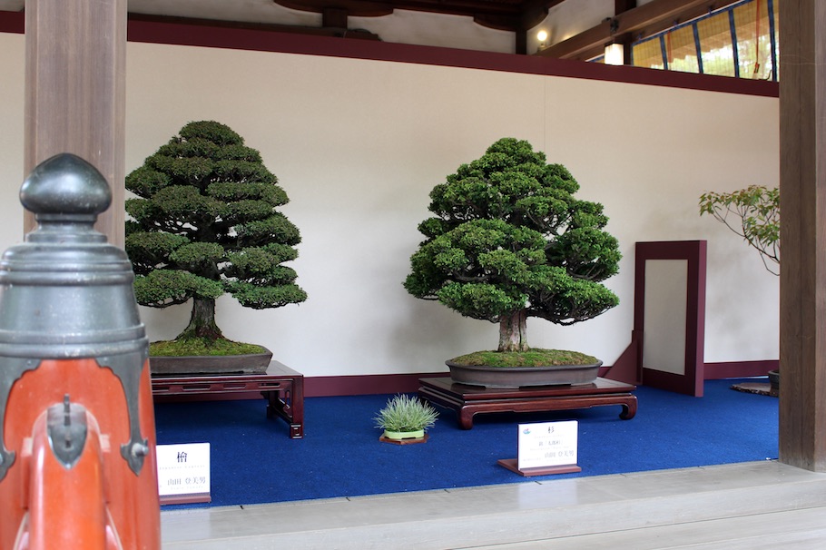 World Bonsai Convention Bonsai Empire