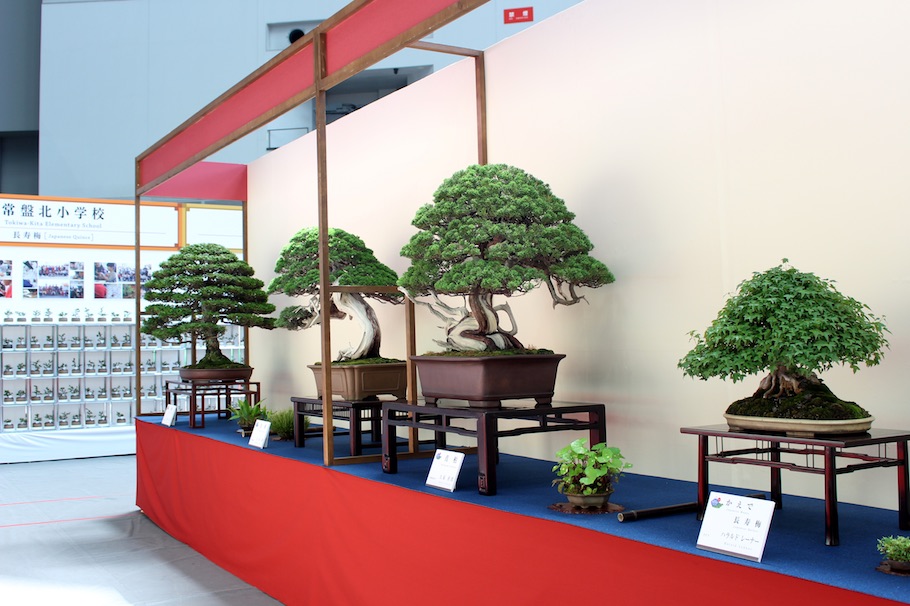 World Bonsai Convention Bonsai Empire