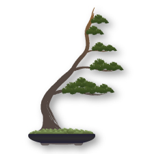 Fukinagashi (windswept) Bonsai style